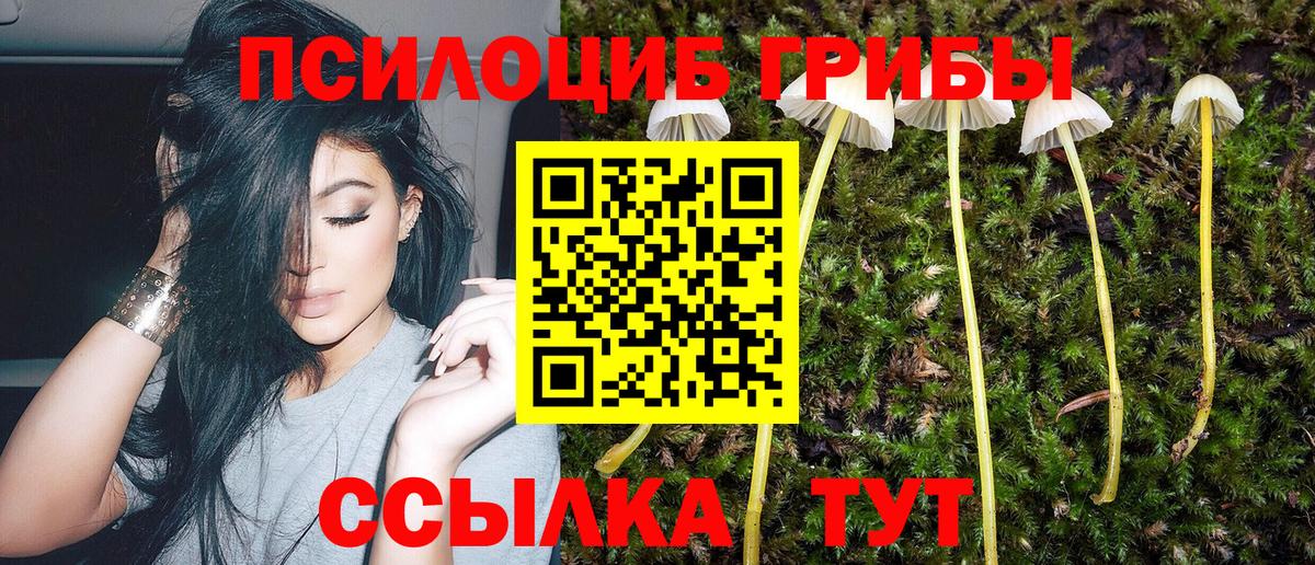 Галлюциногенные грибы мухоморы  Псилоцибиновые грибы Cubensis  Вятские Поляны  Вход с VPN 