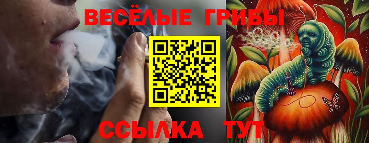 Галлюциногенные грибы Magic Shrooms Вятские Поляны